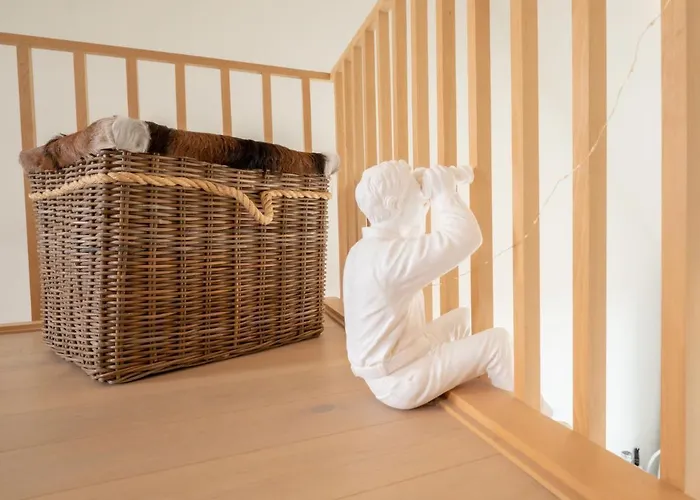 To Spiti Mou With Parking By Interhome * Ostend